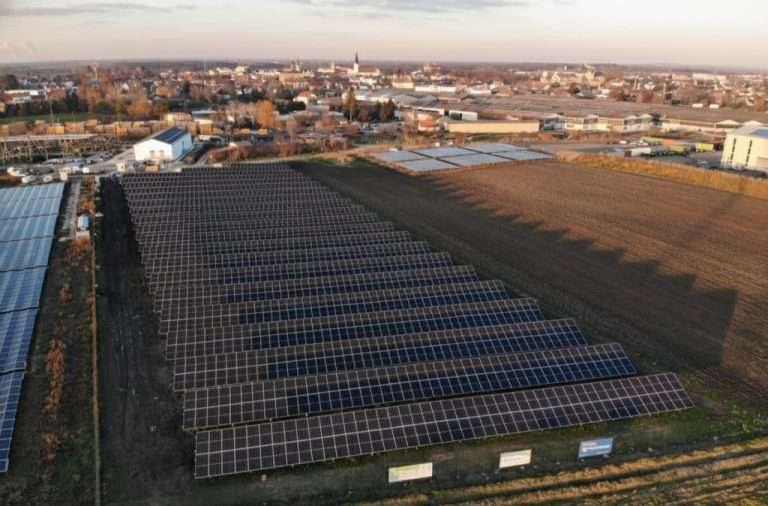 Großes Solarfeld mit Photovoltaikmodulen für nachhaltige Energie.