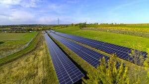PV Freifläche im ecoplus - viele PV Panäle und Feld